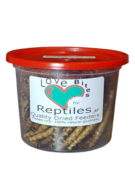 Quality Dried Feeders All Insects